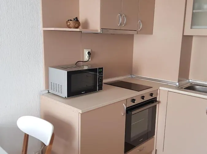 Apartament студио център 2 *